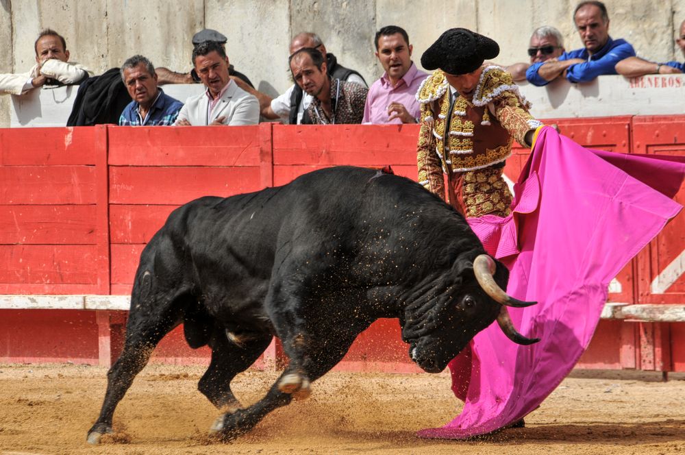 2016cordimmvendnimes (194)