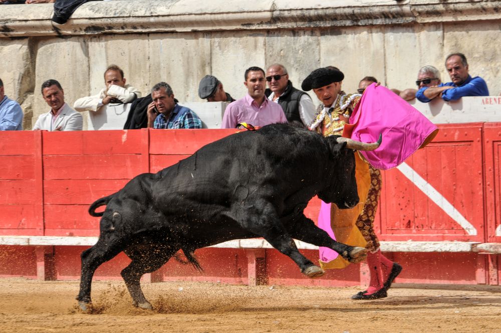 2016cordimmvendnimes (197)
