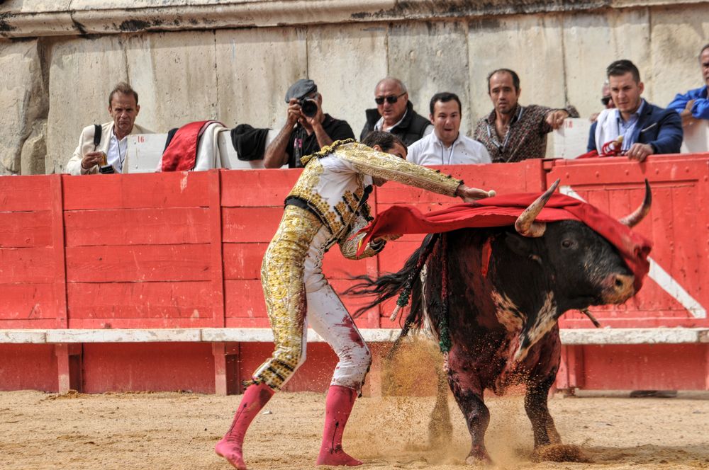 2016cordimmvendnimes (20)