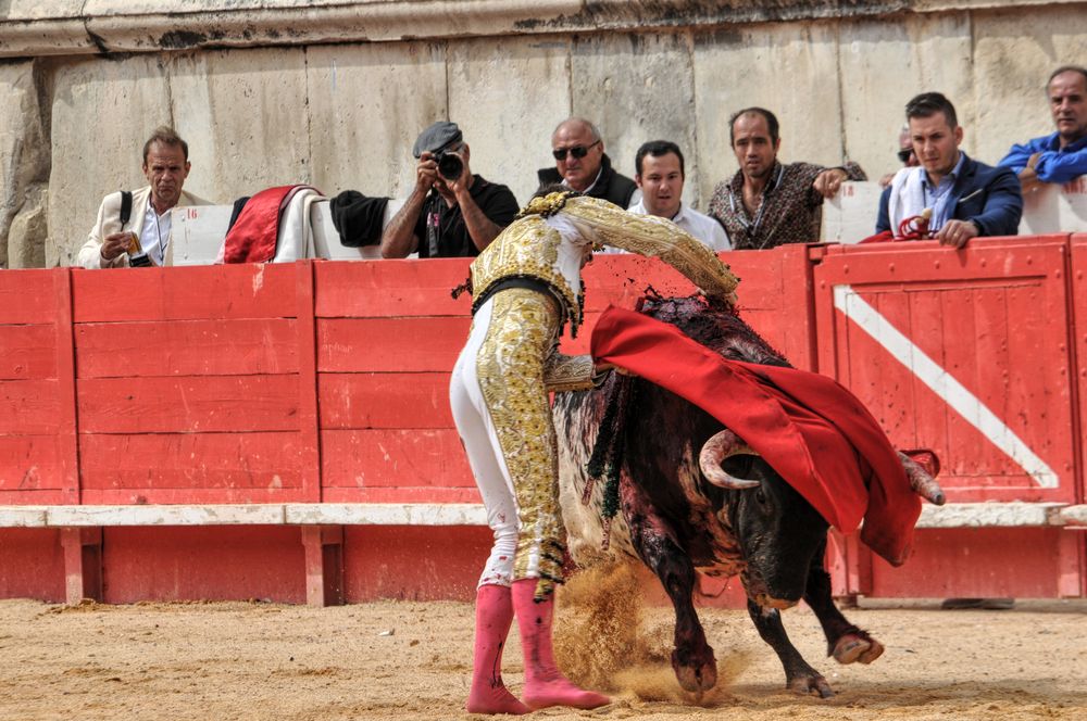 2016cordimmvendnimes (21)