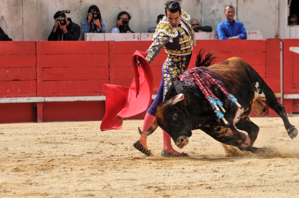 2016cordimmvendnimes (216)