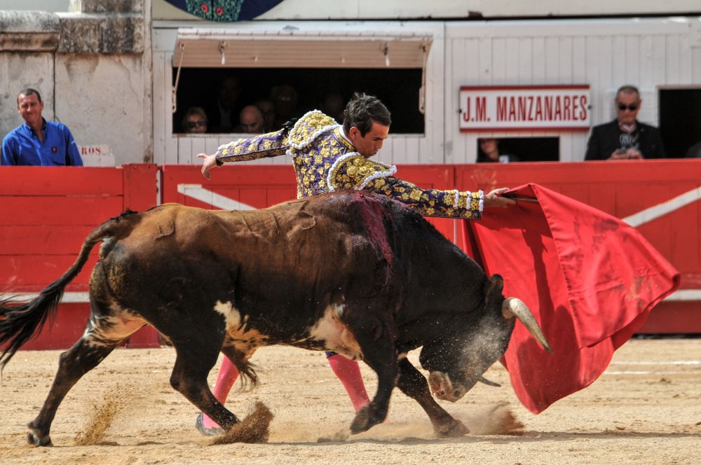 2016cordimmvendnimes (217)