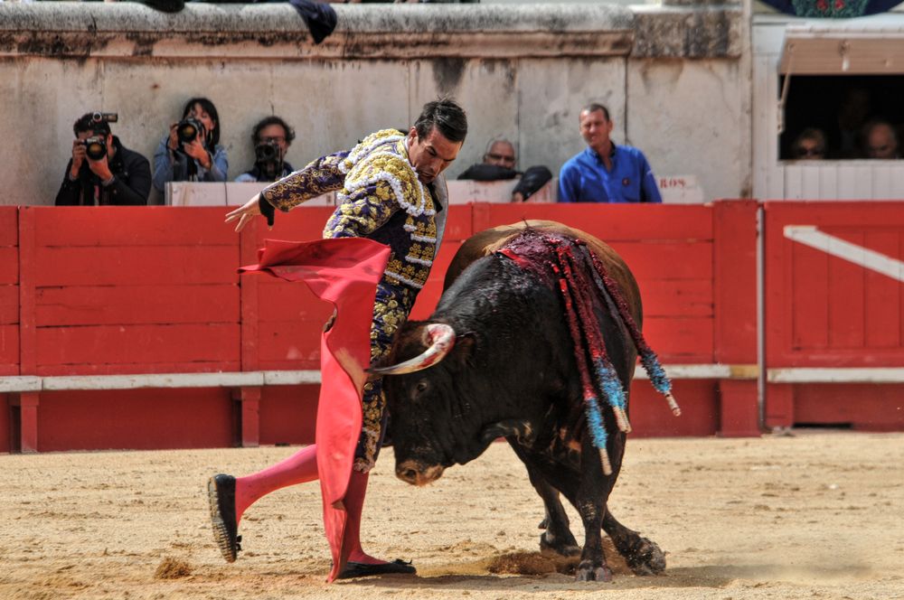 2016cordimmvendnimes (219)