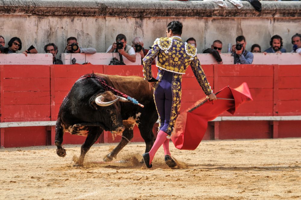 2016cordimmvendnimes (222)
