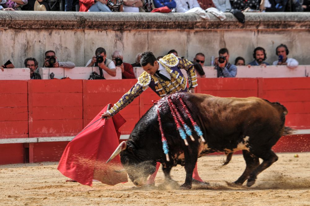 2016cordimmvendnimes (224)