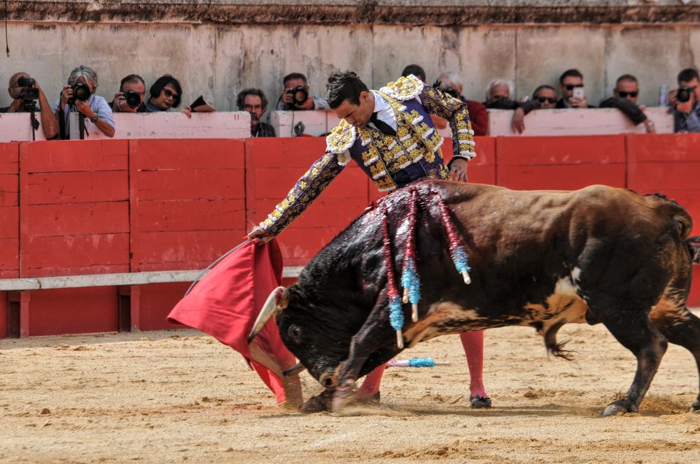 2016cordimmvendnimes (229)