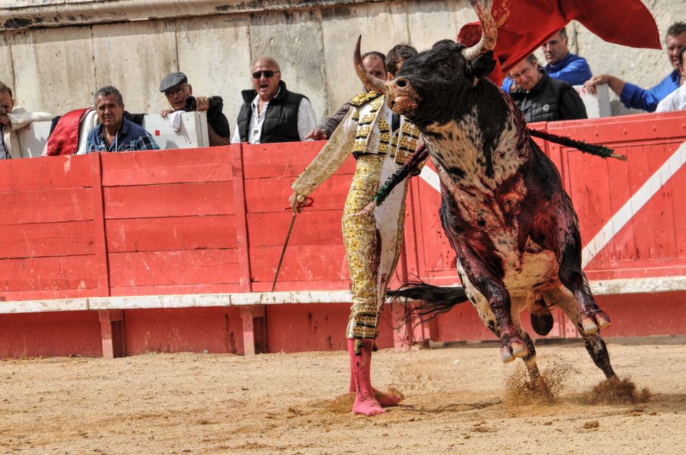 2016cordimmvendnimes (23)