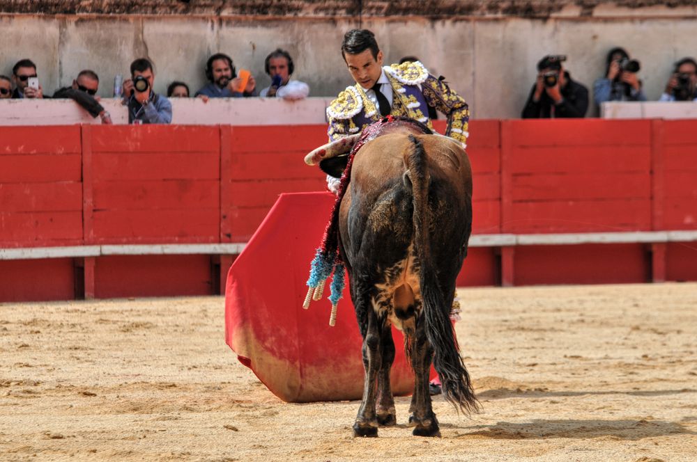 2016cordimmvendnimes (233)