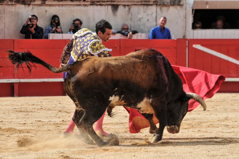 2016cordimmvendnimes (234)