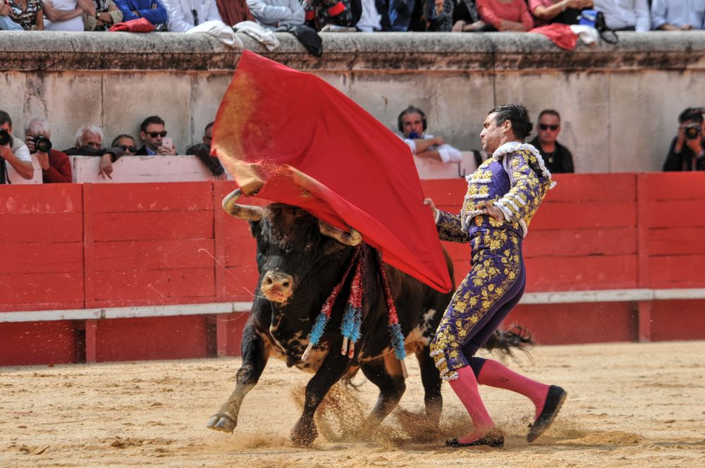 2016cordimmvendnimes (236)