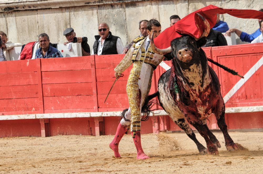 2016cordimmvendnimes (24)