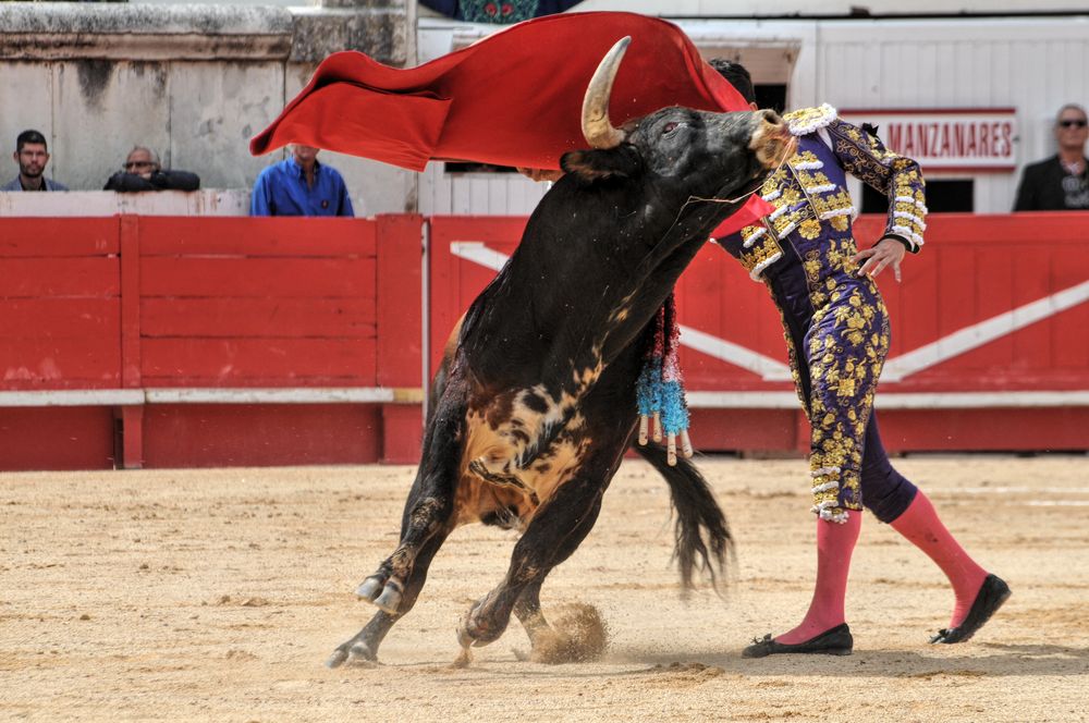 2016cordimmvendnimes (243)