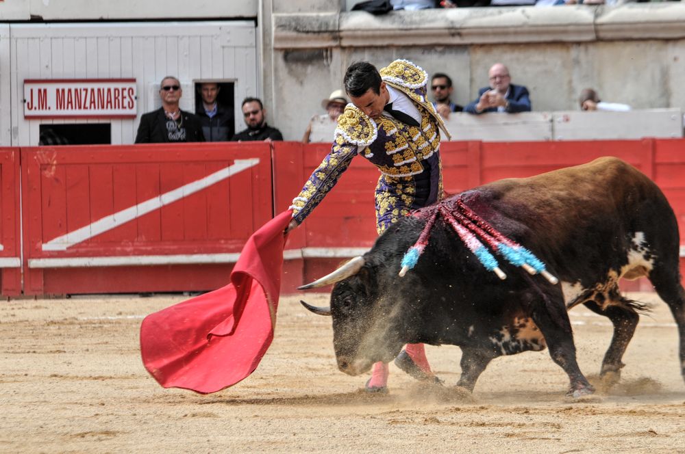 2016cordimmvendnimes (245)