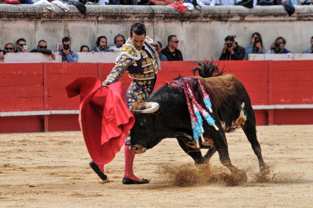 2016cordimmvendnimes (247)