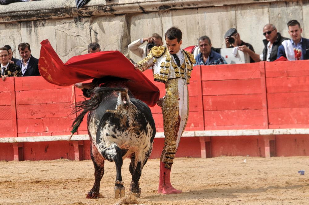 2016cordimmvendnimes (26)
