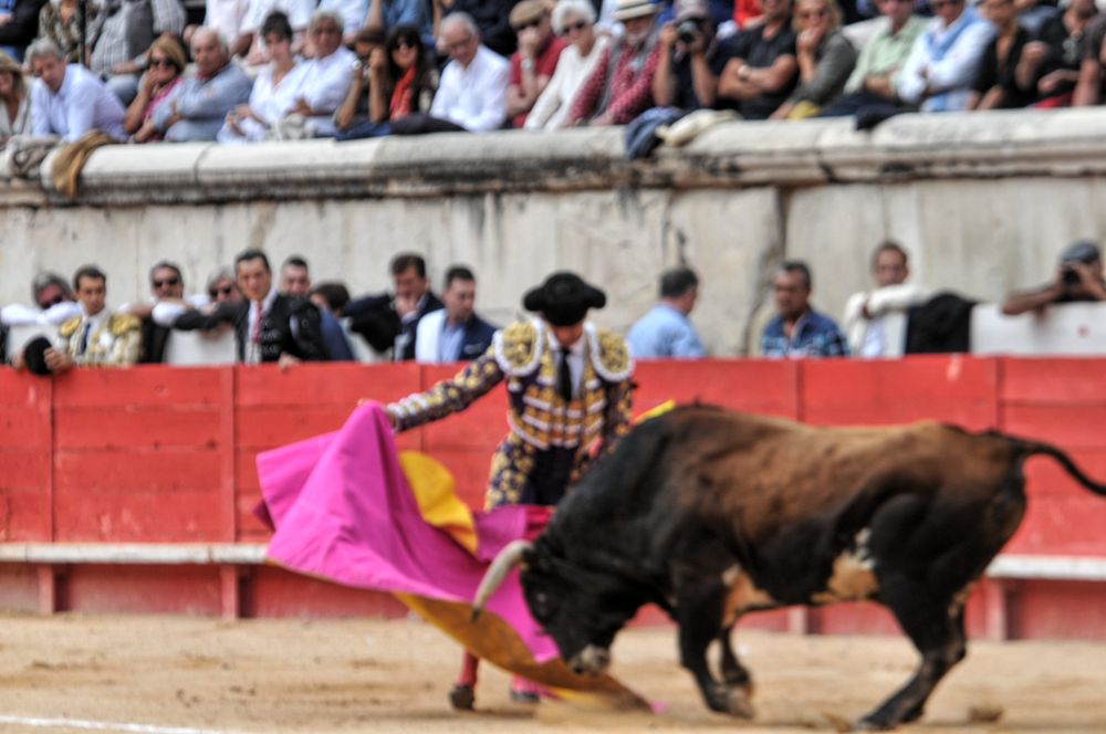 2016cordimmvendnimes (260)