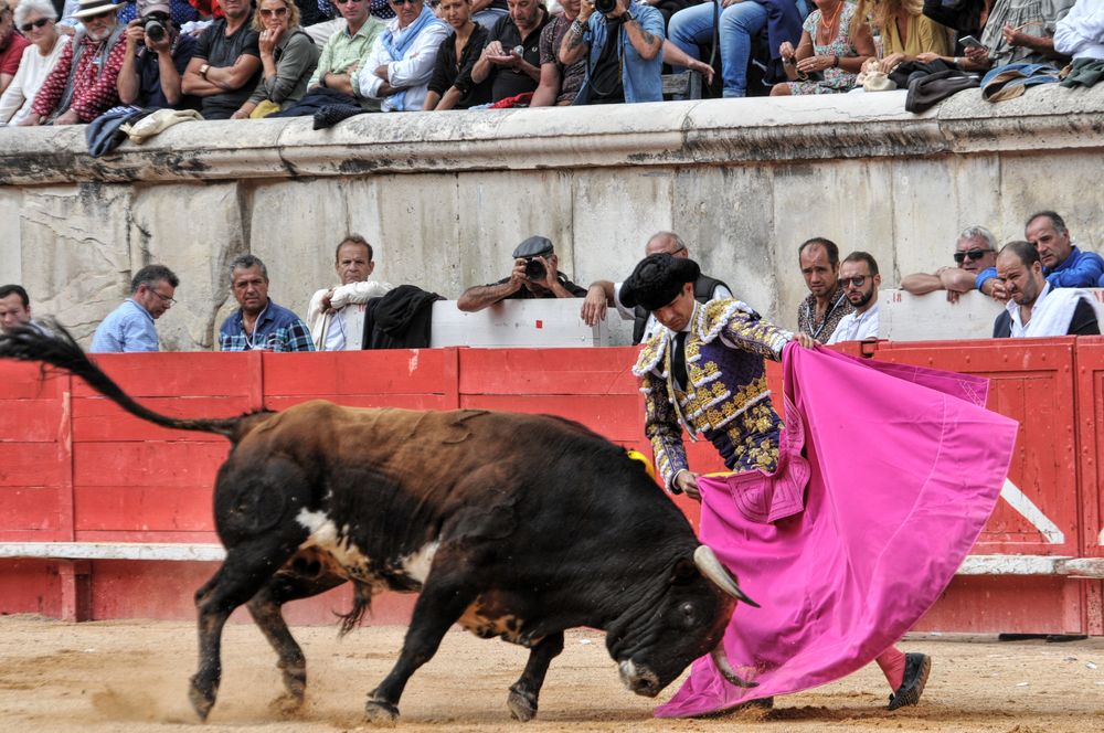 2016cordimmvendnimes (261)