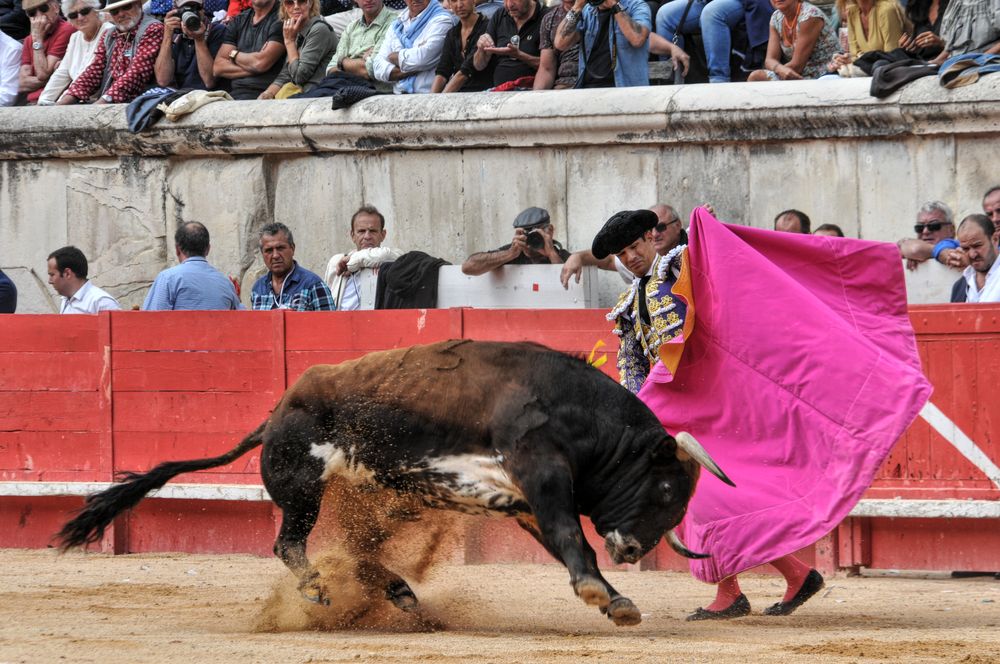 2016cordimmvendnimes (263)