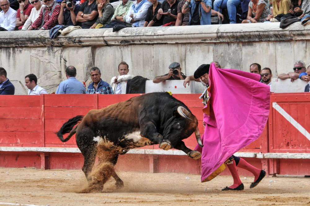 2016cordimmvendnimes (264)