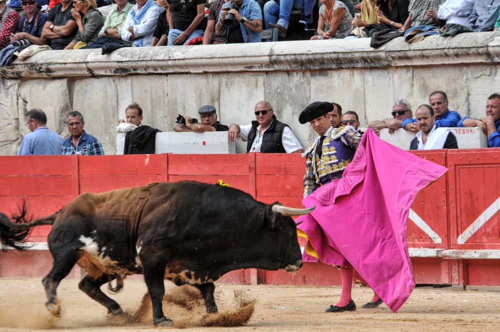 2016cordimmvendnimes (266)