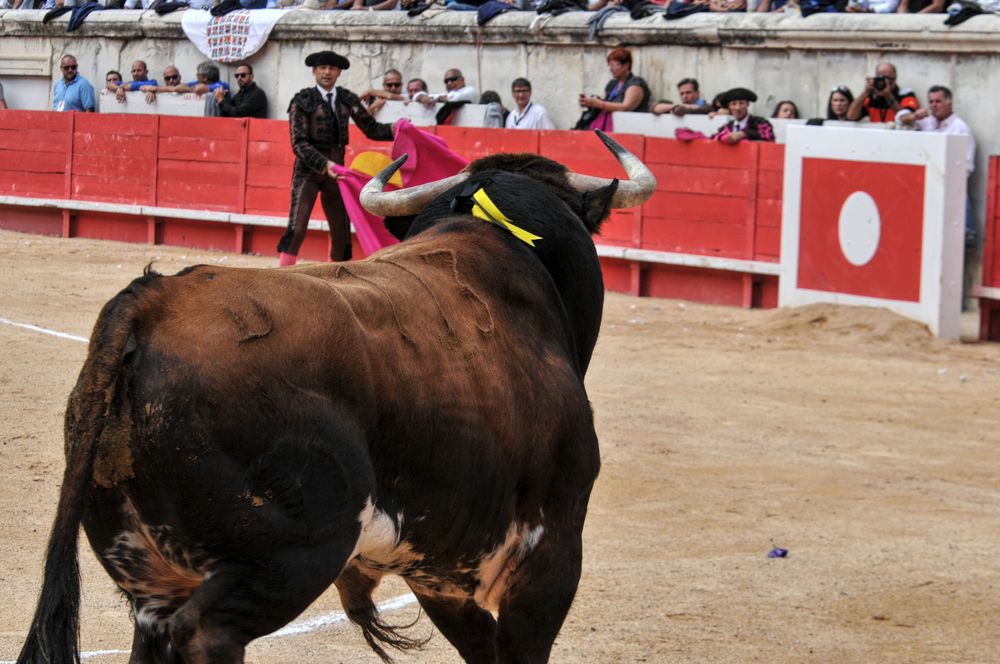 2016cordimmvendnimes (268)