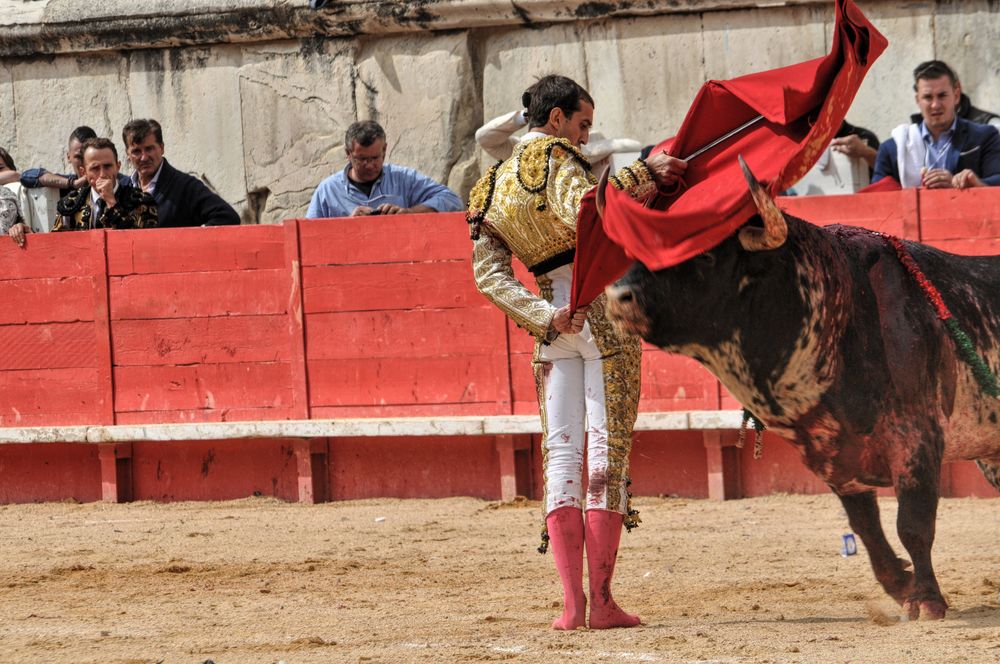 2016cordimmvendnimes (27)