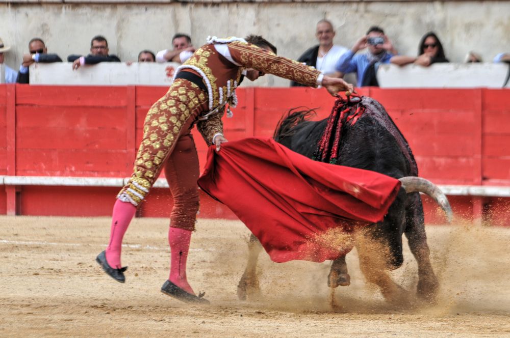 2016cordimmvendnimes (276)