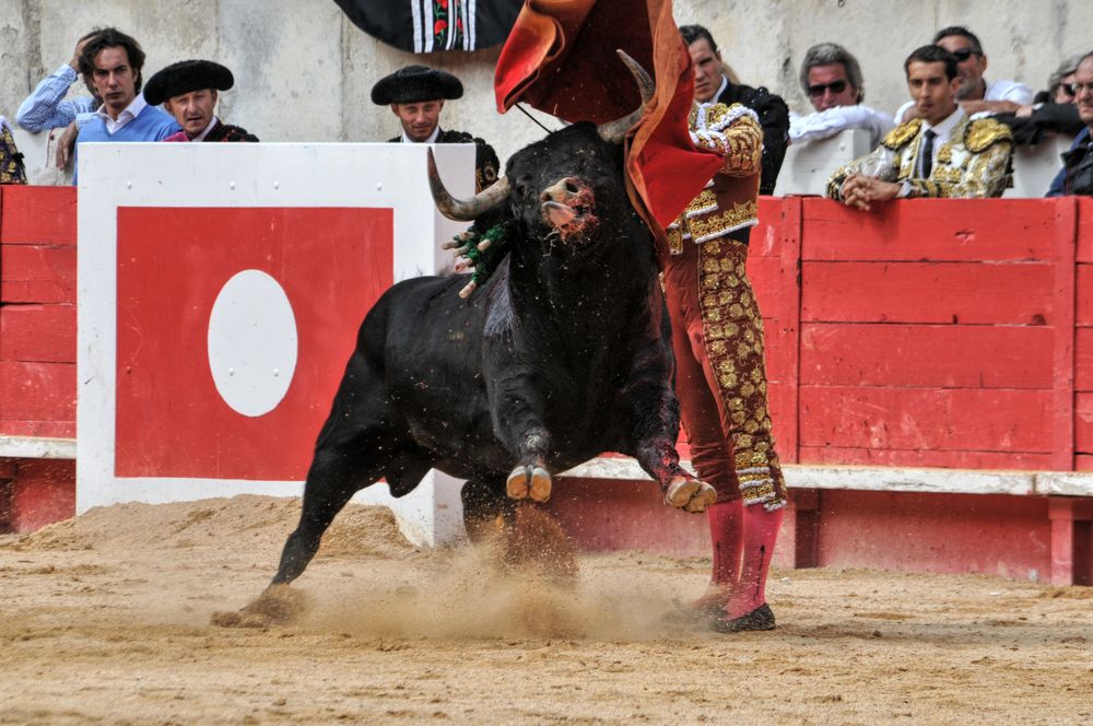 2016cordimmvendnimes (278)