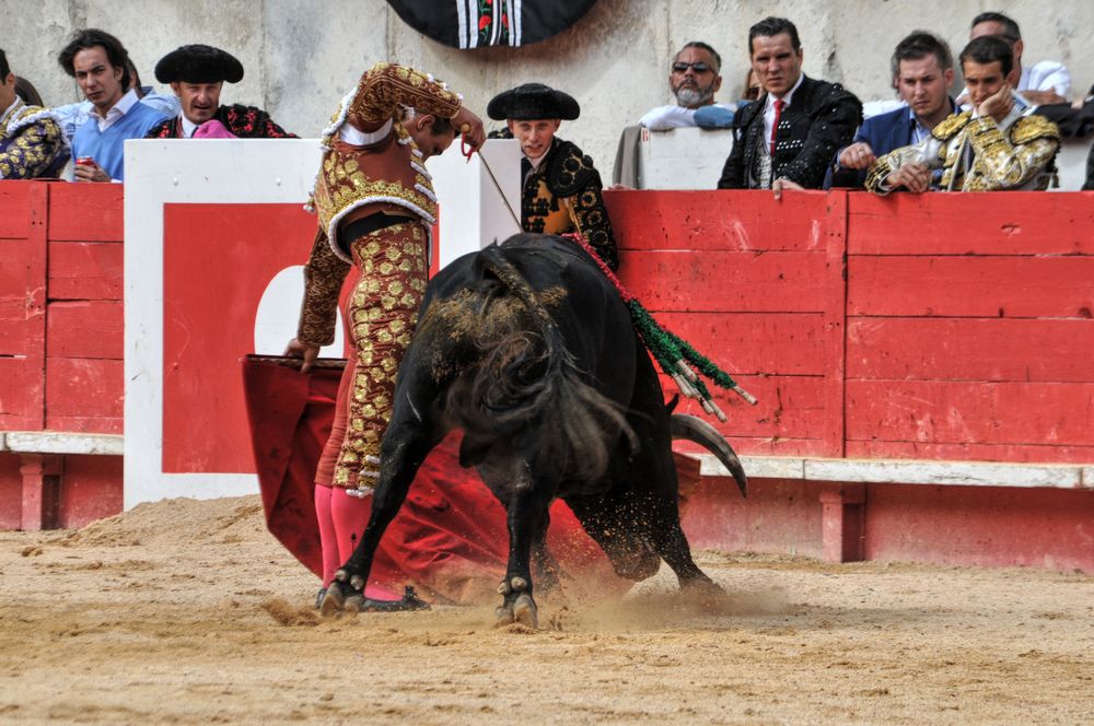 2016cordimmvendnimes (279)