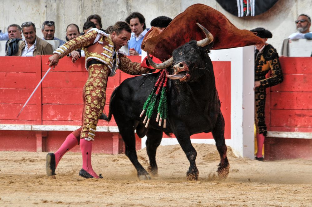2016cordimmvendnimes (280)