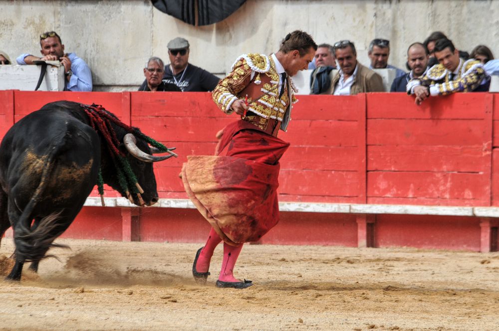 2016cordimmvendnimes (282)