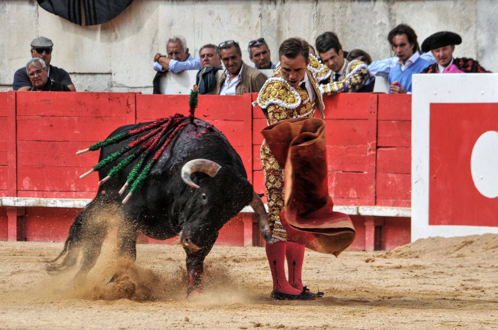 2016cordimmvendnimes (284)