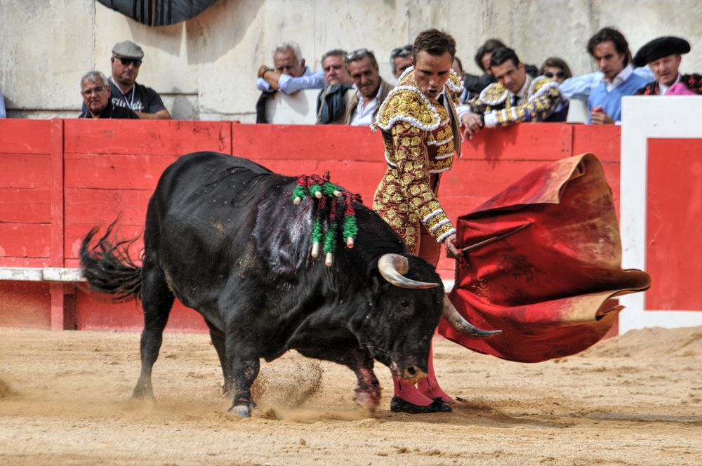2016cordimmvendnimes (285)