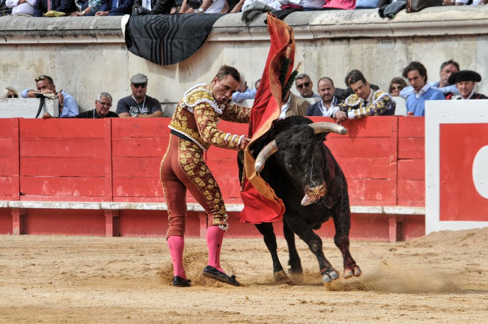 2016cordimmvendnimes (287)