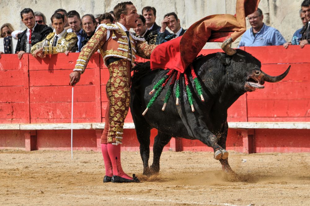 2016cordimmvendnimes (291)