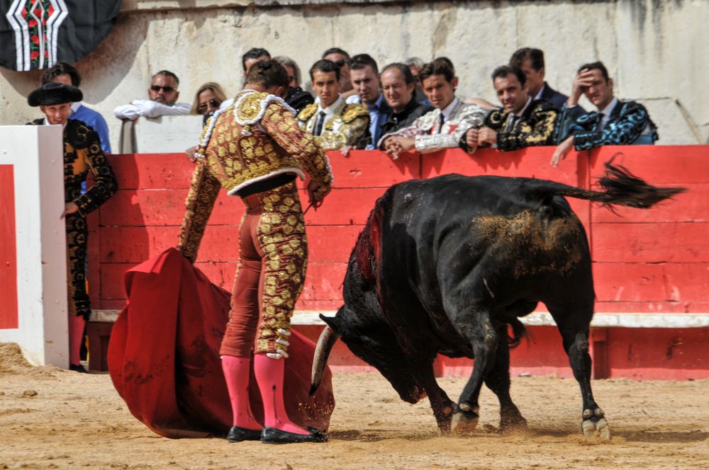 2016cordimmvendnimes (292)