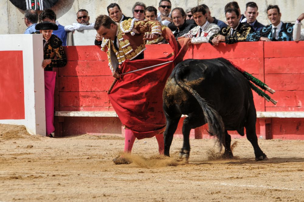 2016cordimmvendnimes (296)