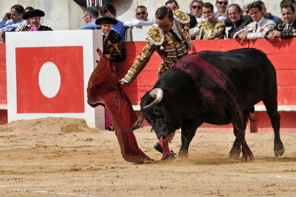 2016cordimmvendnimes (297)