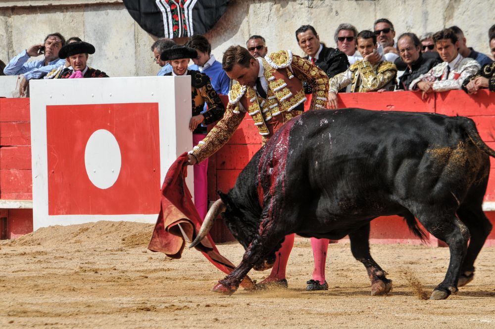 2016cordimmvendnimes (298)