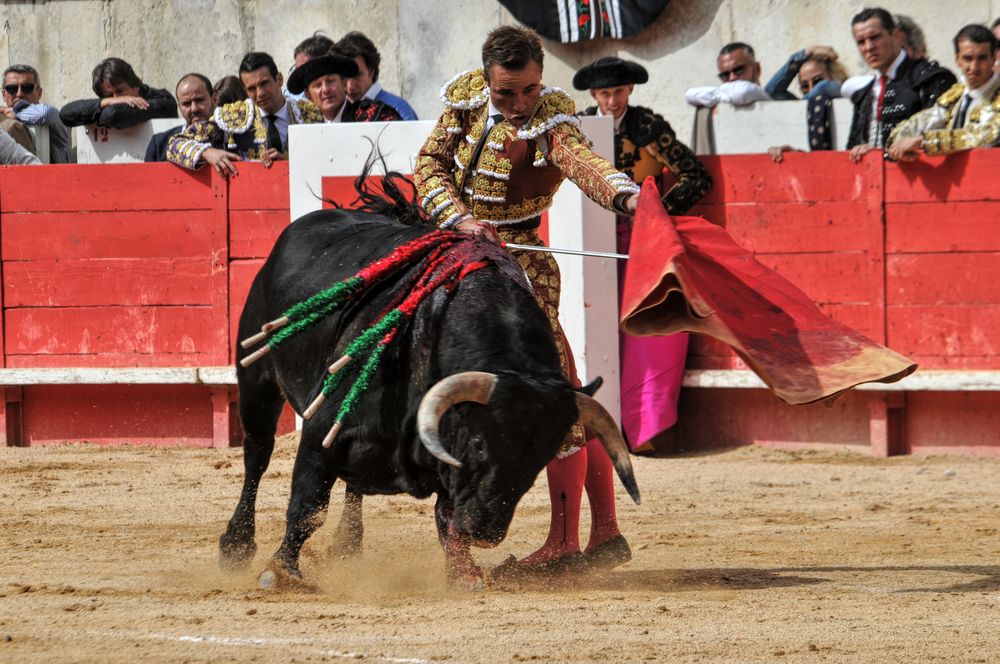2016cordimmvendnimes (300)