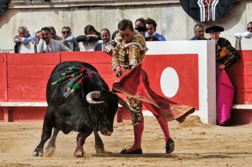 2016cordimmvendnimes (301)
