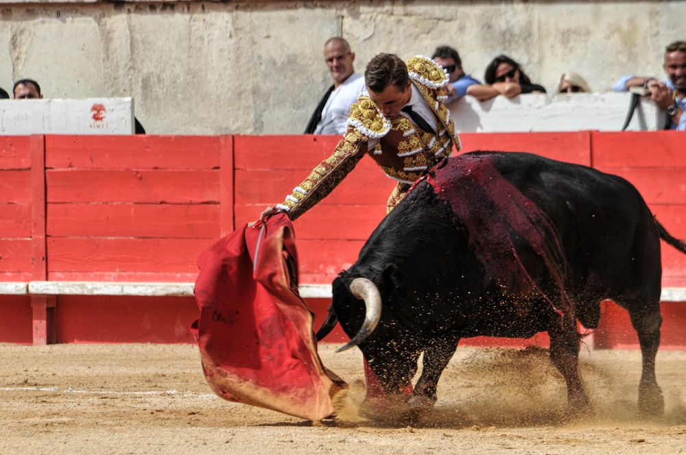 2016cordimmvendnimes (302)