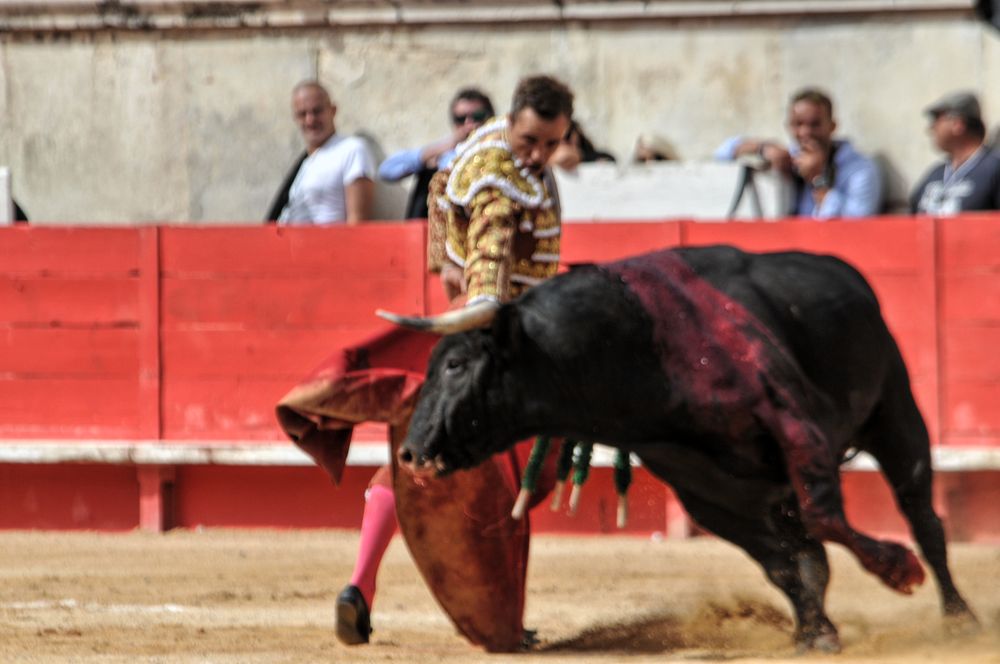 2016cordimmvendnimes (303)