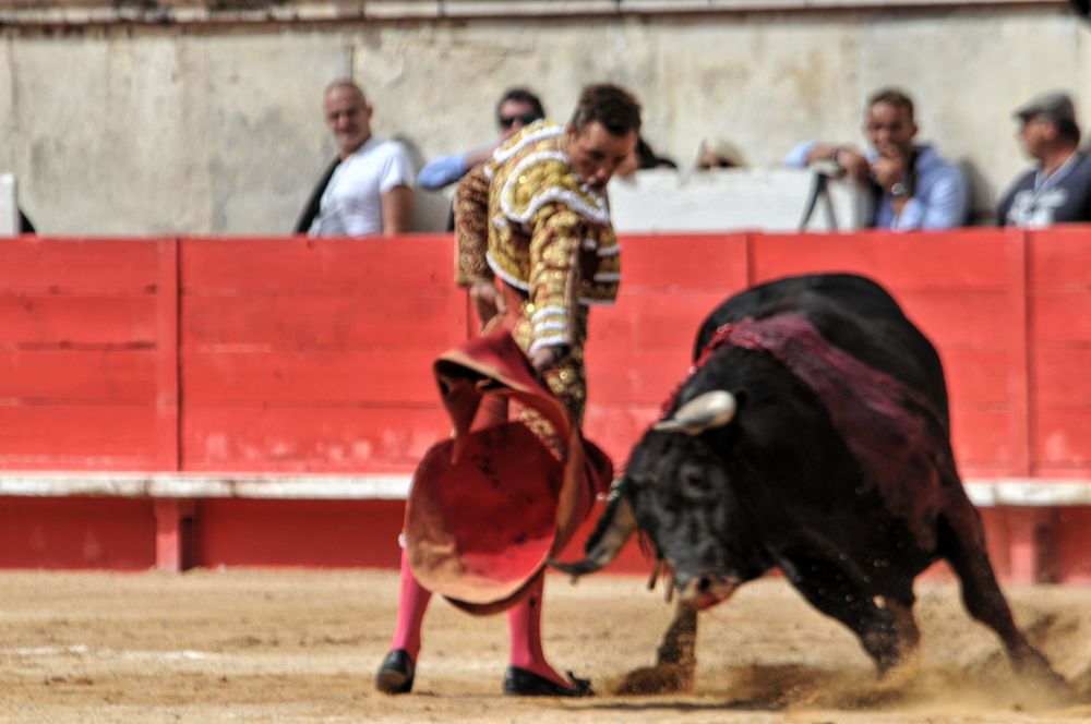 2016cordimmvendnimes (304)