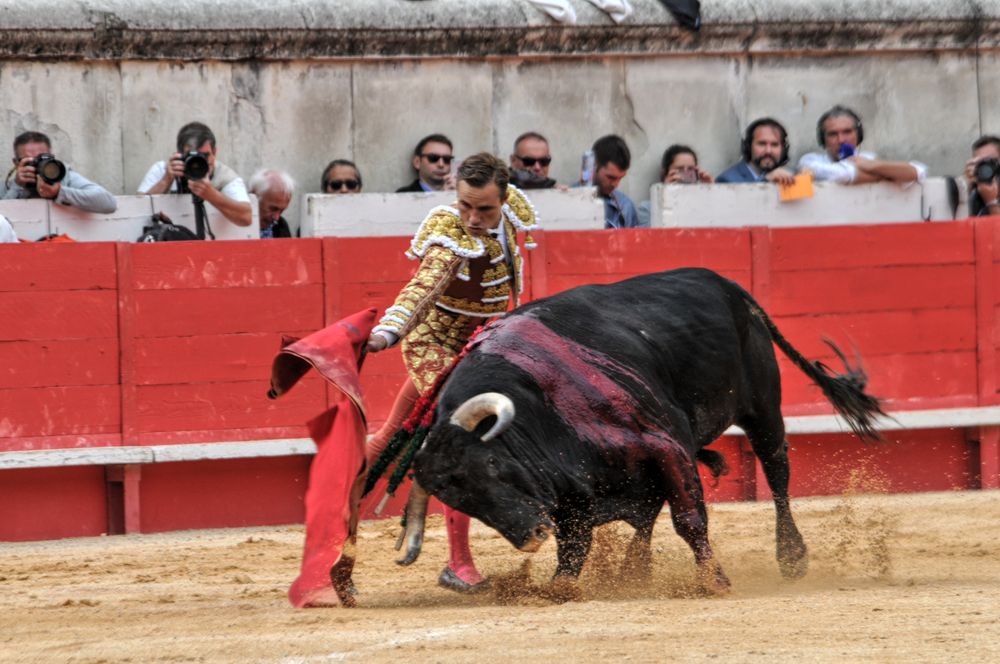 2016cordimmvendnimes (308)