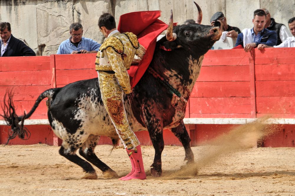 2016cordimmvendnimes (31)