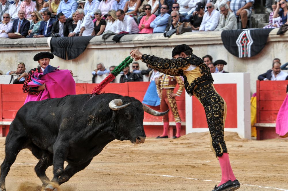 2016cordimmvendnimes (318)