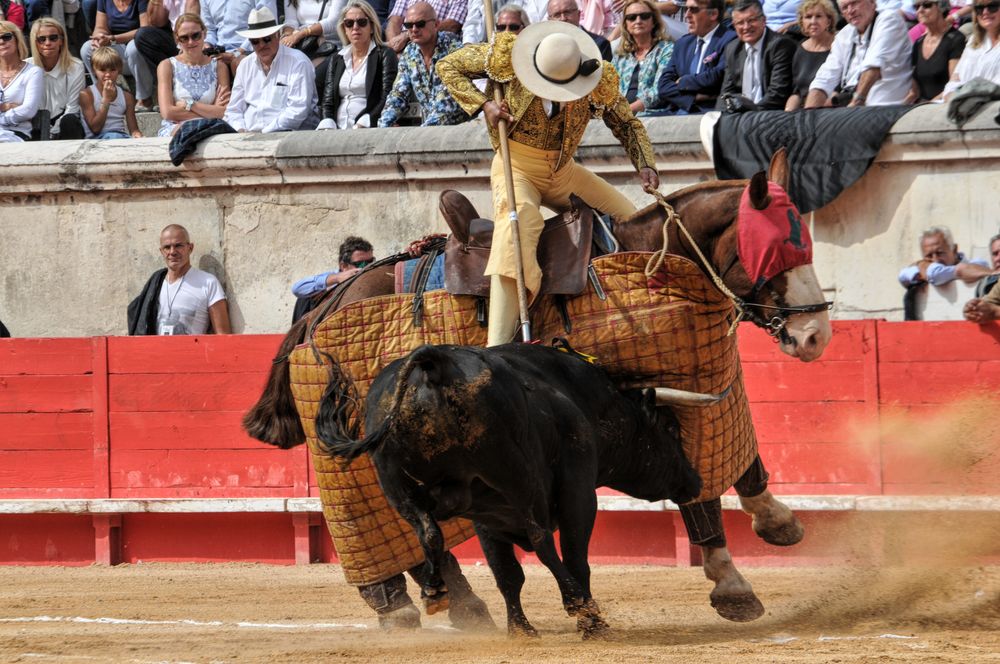 2016cordimmvendnimes (320)