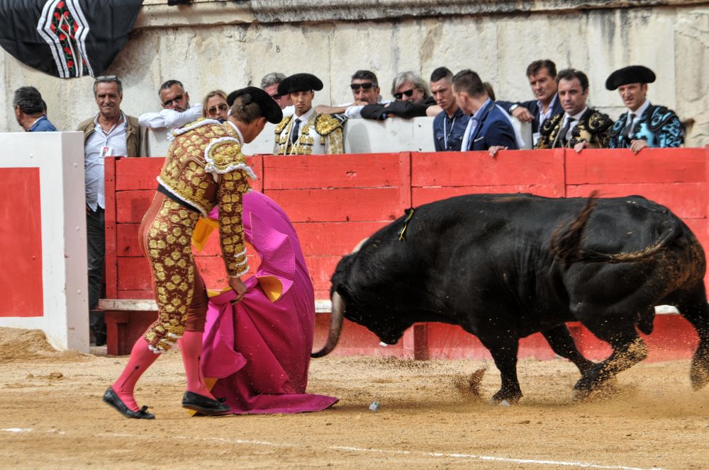 2016cordimmvendnimes (321)