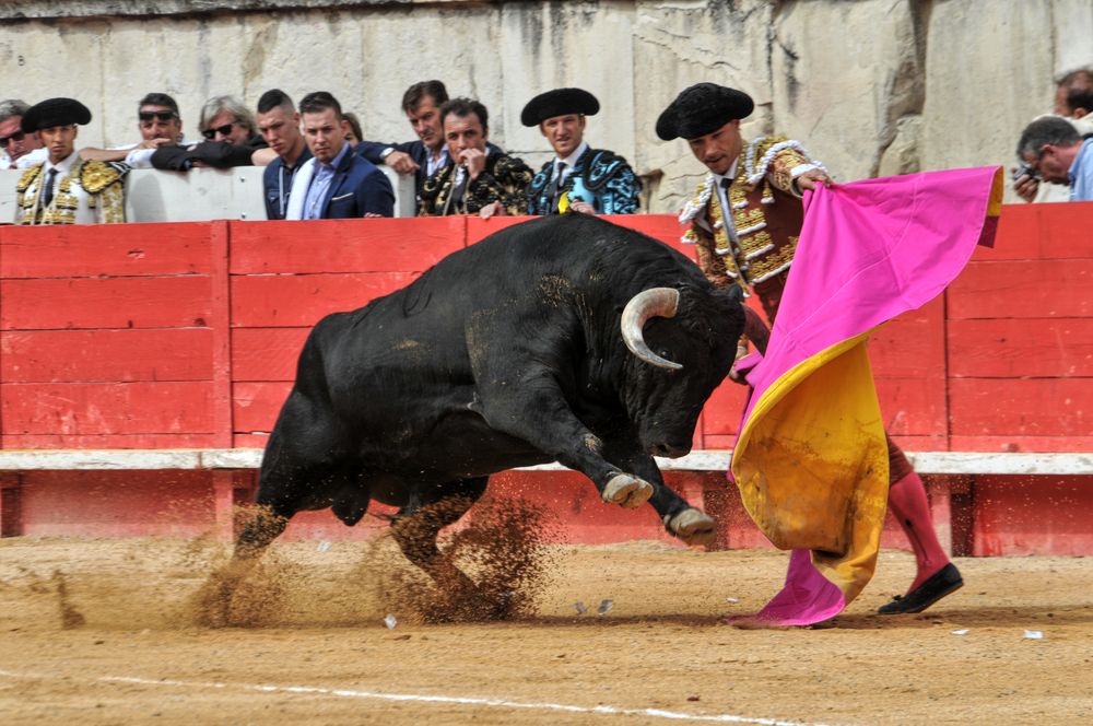 2016cordimmvendnimes (322)